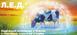 Предупреждаем тепловой стресс!